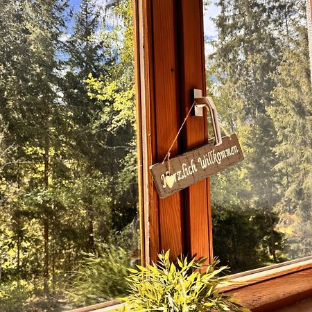 Waldtwin 1 Titisee Buitenkant foto
