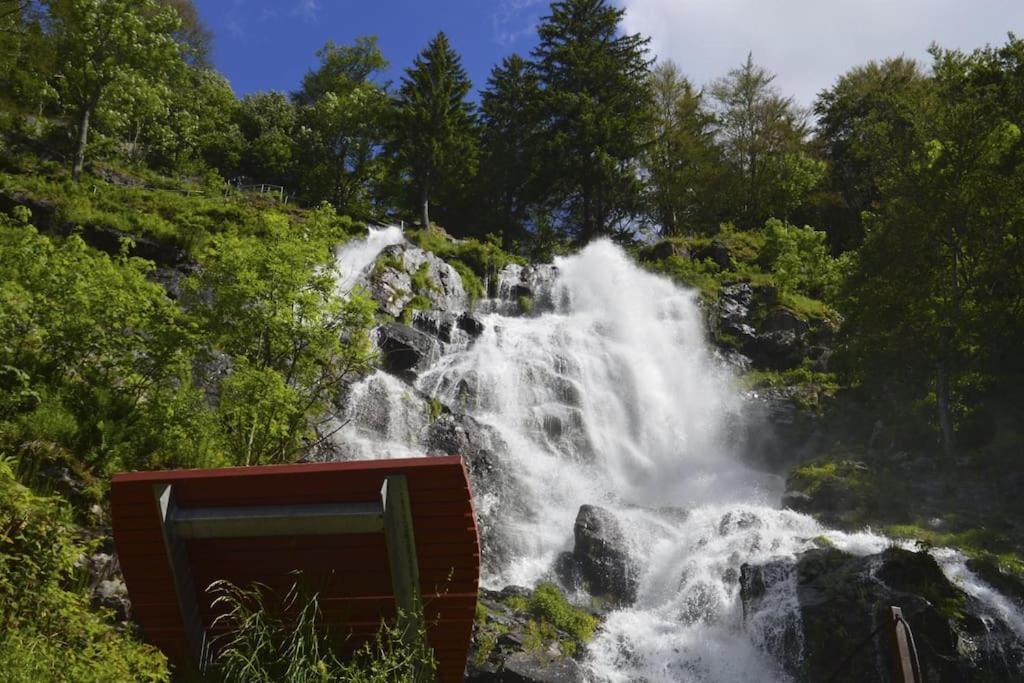 Waldtwin 1 Titisee Buitenkant foto