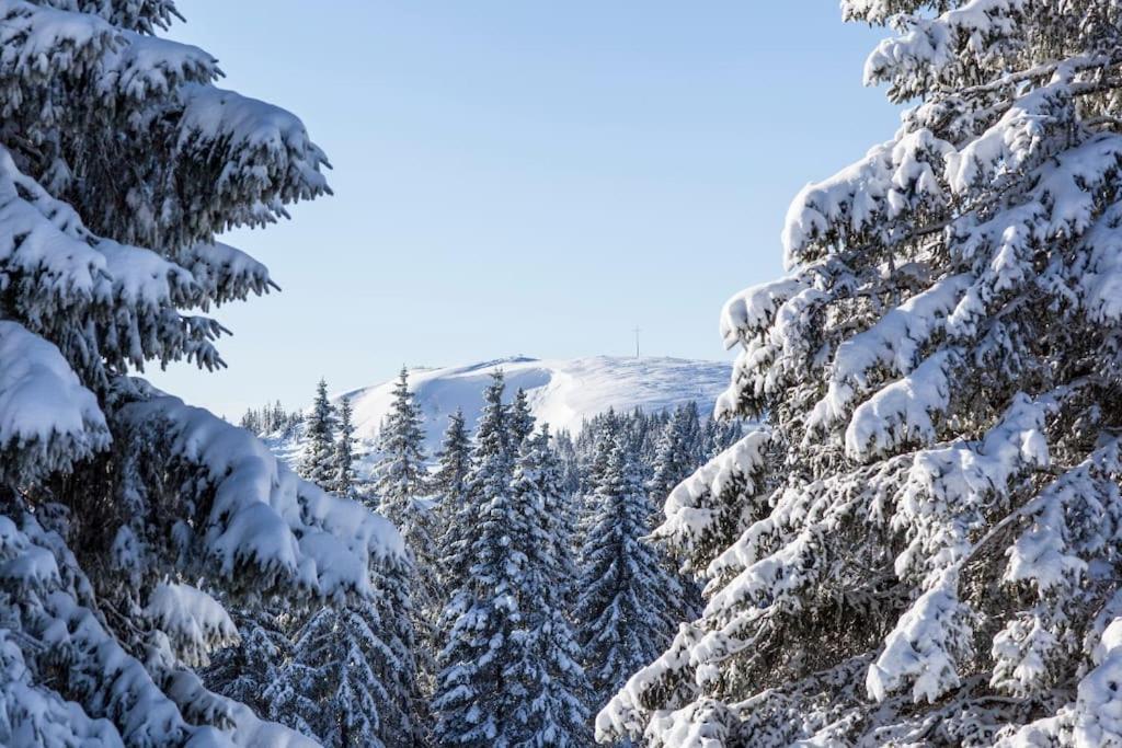Waldtwin 1 Titisee Buitenkant foto