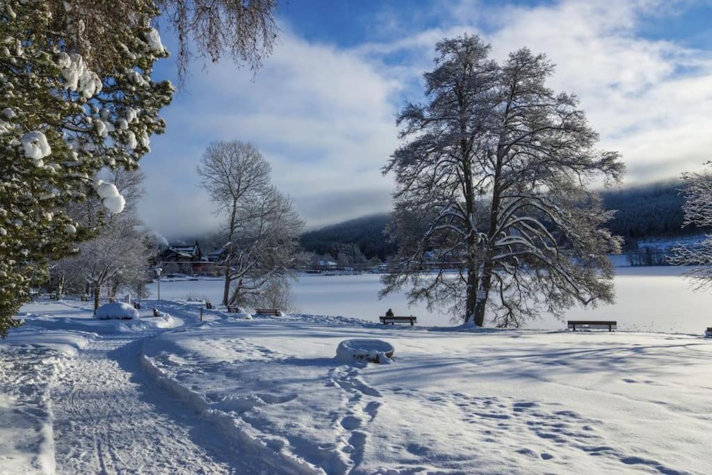 Waldtwin 1 Titisee Buitenkant foto