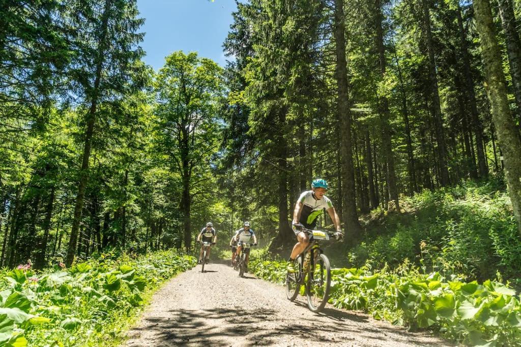 Waldtwin 1 Titisee Buitenkant foto